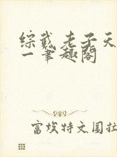 综武老子天下第一笔趣阁