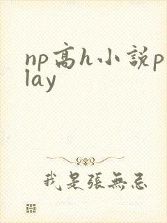 np高h小说play