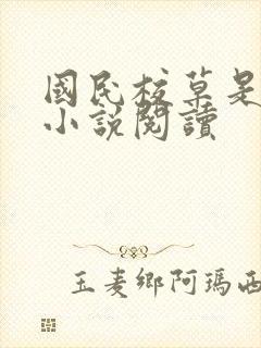 国民校草是女生小说阅读