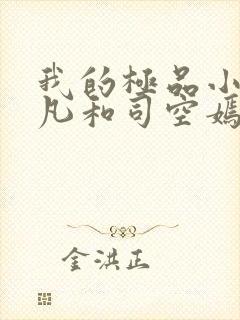 我的极品小姨叶凡和司空嫣的小说