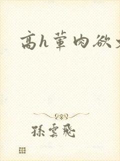 高h荤肉欲文封面