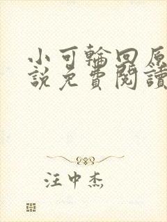 小可轮回原著小说免费阅读封面