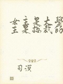 女主是大学生男主是总裁的小说封面