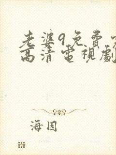 老婆9免费完整高清电视剧看