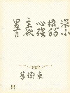 男主心机深沉占有欲强的小说