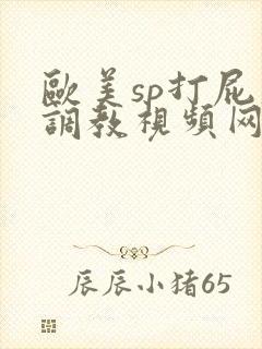 欧美sp打屁股调教视频网站