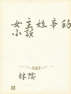 女主姓辛的现代小说