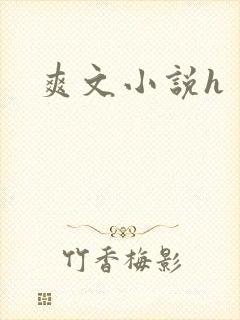 爽文小说h封面