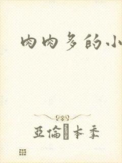 肉肉多的小h文