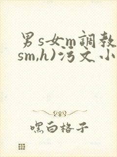 男s女m调教(sm,h)污文小说