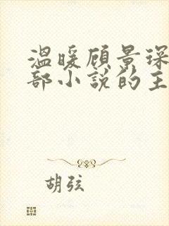 温暖顾景琛是哪部小说的主人公封面