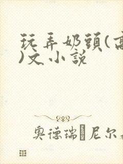 玩弄奶头(高h)文小说封面