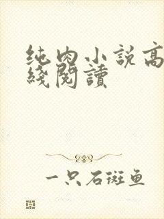纯肉小说高h在线阅读封面