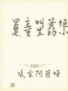 男主叫萧绝女主是重生的小说