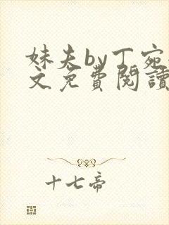 妹夫by丁宛全文免费阅读笔趣阁