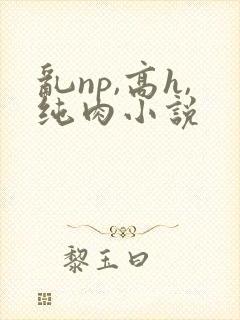 乱np,高h,纯肉小说
