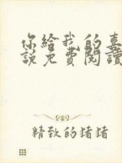 你给我的喜欢小说免费阅读