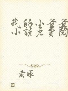 我的小爸爸李凯小说免费阅读