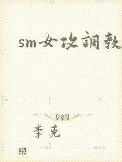 sm女攻调教文