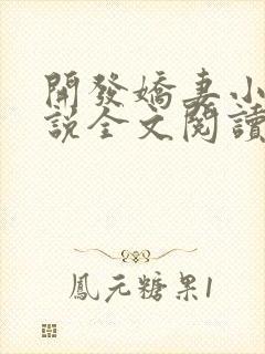 开发娇妻小楠小说全文阅读最新章节