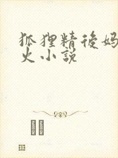 狐狸精后妈太惹火小说