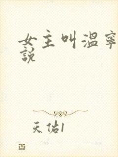 女主叫温宁的小说封面