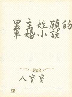男主姓顾的所有军婚小说