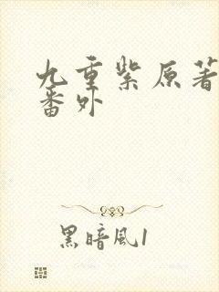 九重紫原著小说番外