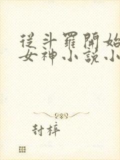 从斗罗开始俘获女神小说小说封面