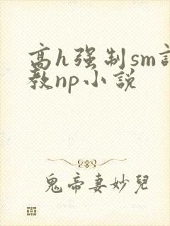 高h强制sm调教np小说封面