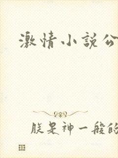 激情小说公媳