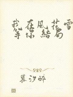 我在风花雪月里等你 结局