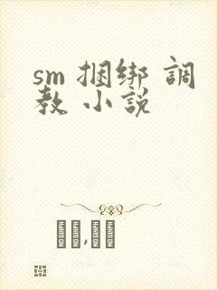 sm 捆绑 调教 小说封面
