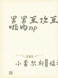 男男互攻互受h啪肉np