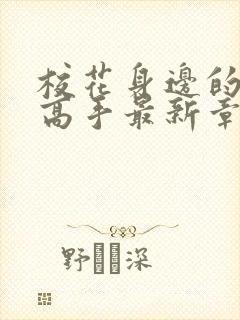 校花身边的贴身高手最新章节阅读封面