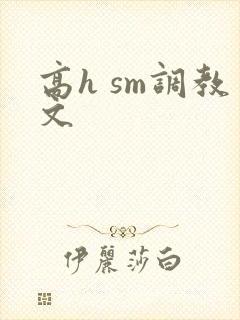 高h sm调教文