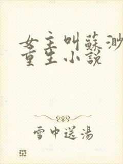 女主叫苏渺渺的重生小说