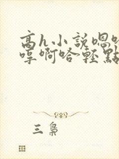 高h小说嗯哈嗯哼啊哈轻点