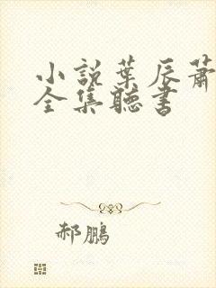 小说叶辰萧初然全集听书封面