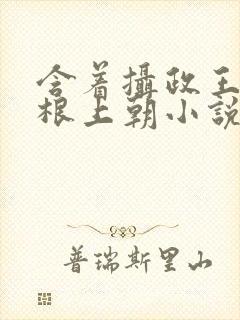 含着摄政王的紫根上朝小说封面