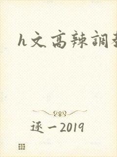 h文高辣调教