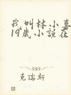我叫林小喜今年19岁小说在线阅读全文