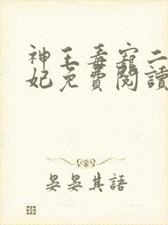 神王毒宠二嫁王妃免费阅读全文封面