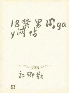 18禁男同gay网站封面