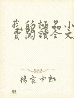 我的极品小姨免费阅读全文小说封面