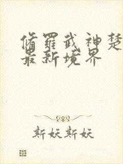 修罗武神楚枫的最新境界