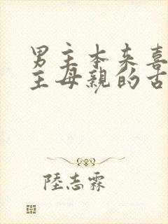 男主本来喜欢女主母亲的古言封面