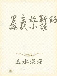 男主姓靳的霸道总裁小说封面