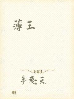 薄王封面