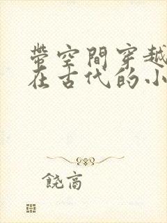 带空间穿越重生在古代的小说